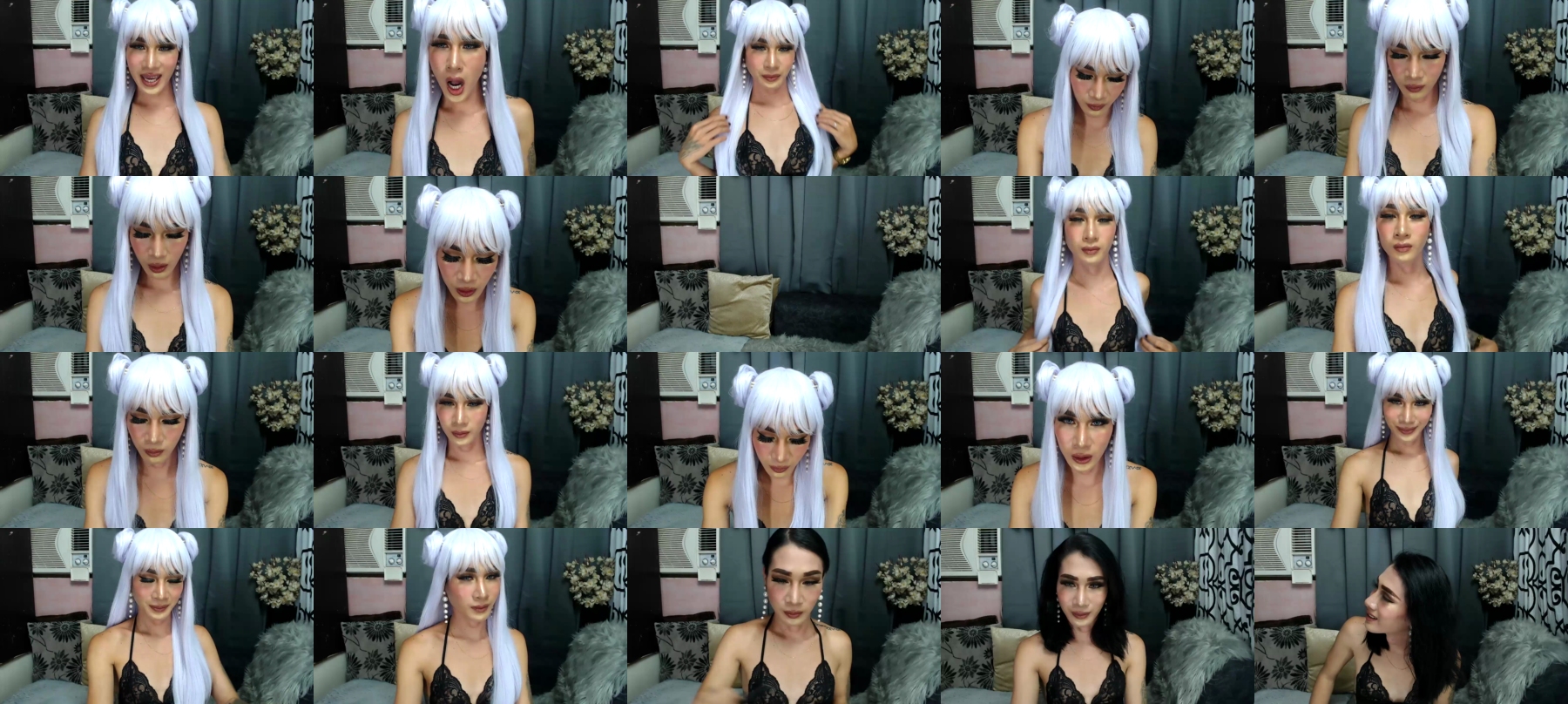 Transmedusa  21-11-2021
